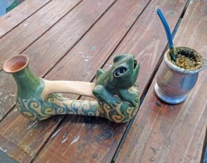 Jarrita silvadora (sapo)